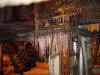 kino images